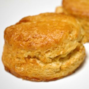 Plain Scone